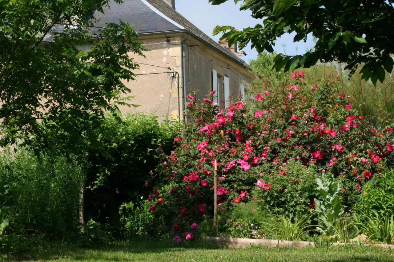 Chambres D'Hotes Du Jay La Guerche-sur-l'Aubois Zewnętrze zdjęcie